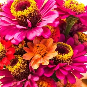 Meet your Posher, Maura